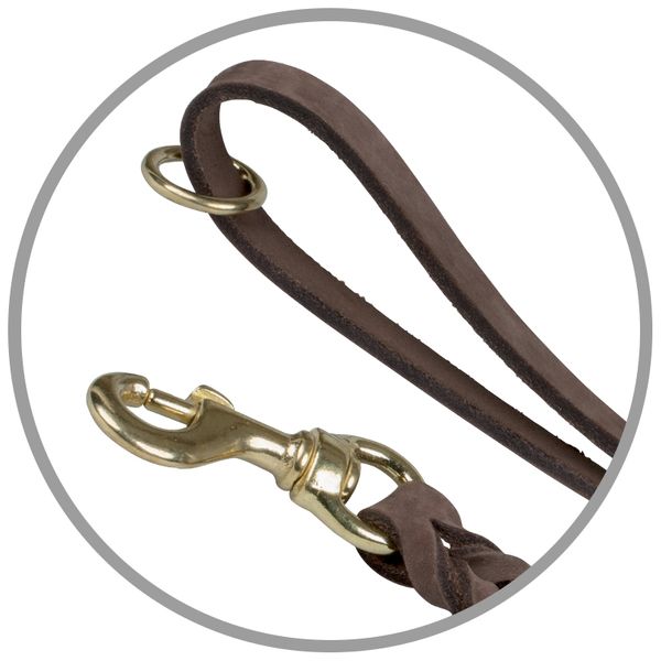 Leather Leash, 6 ft